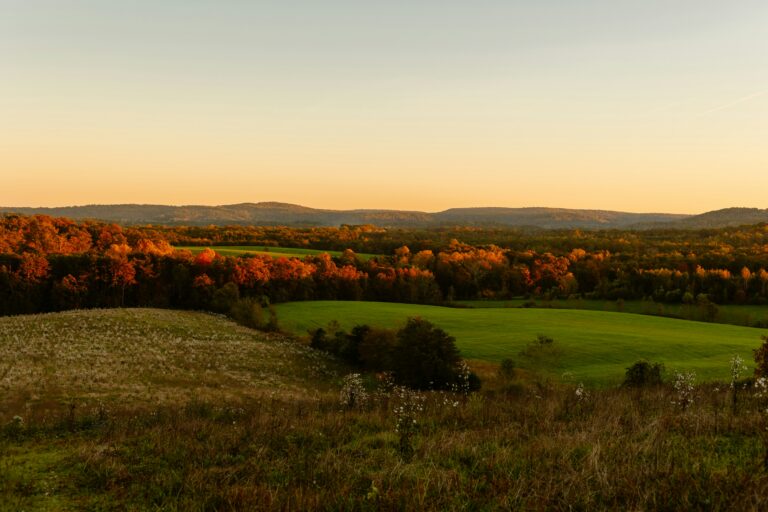 Country view in Kodak, TN kodak homes for sale