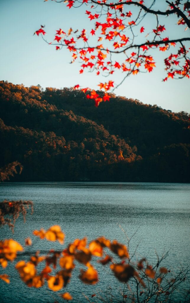 Dandridge, TN homes for sale